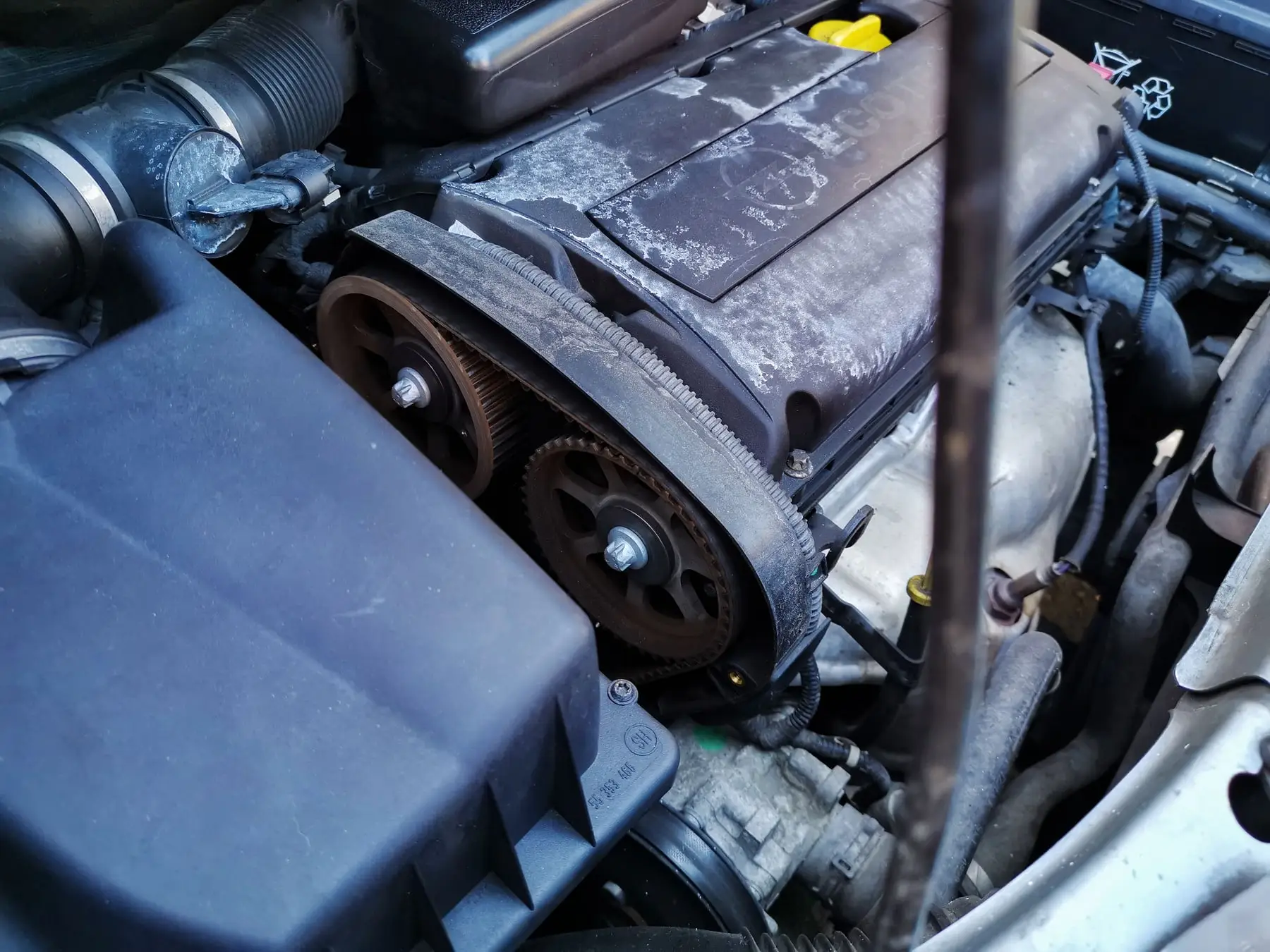 A timing belt and tensioner with the engine front cover removed
